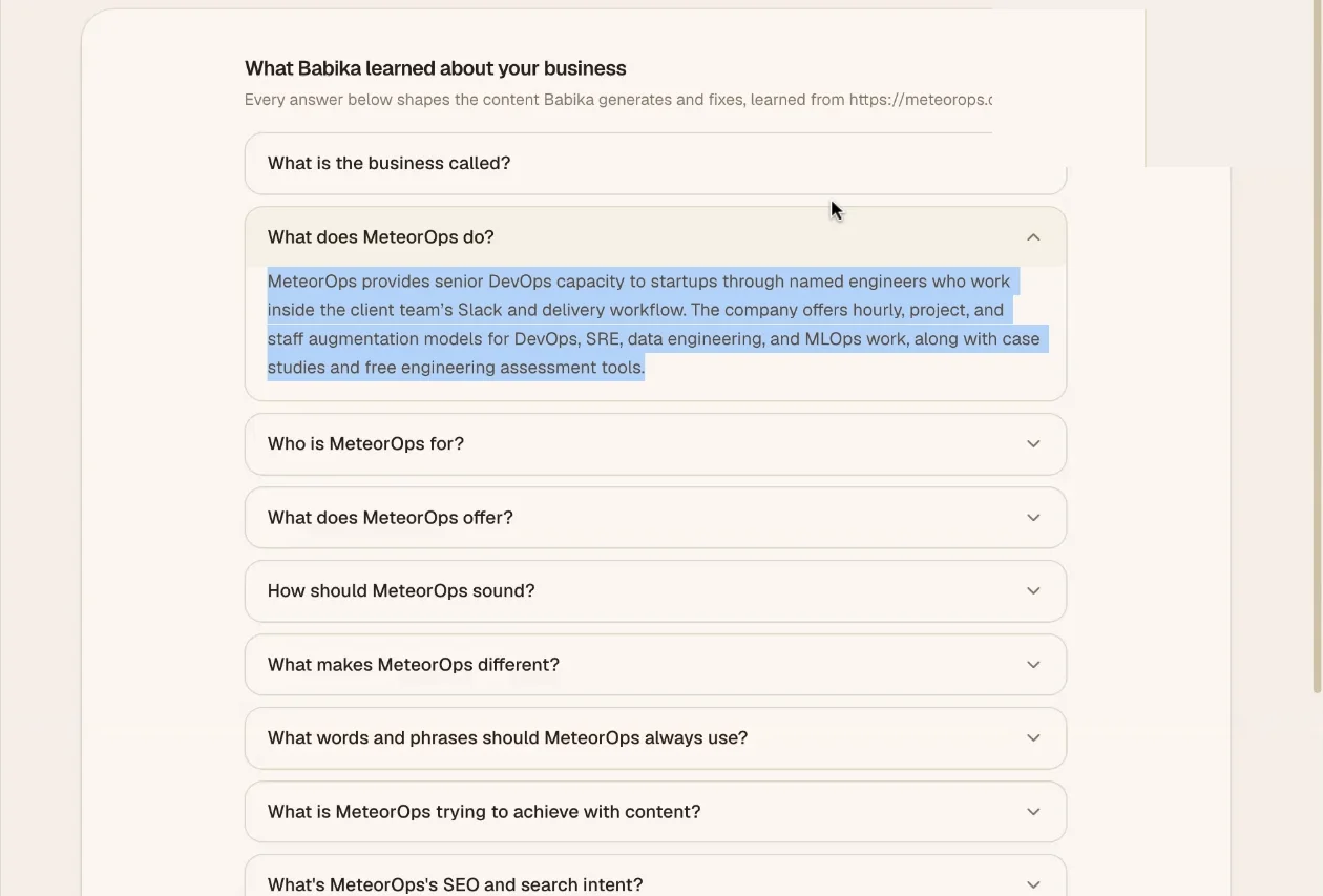What Babika learned about your business: editable answers about the company, its audience, offers, and tone